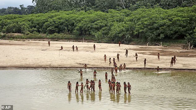 Lack of Government Protections Threatens Isolated Amazon Tribe's Survival