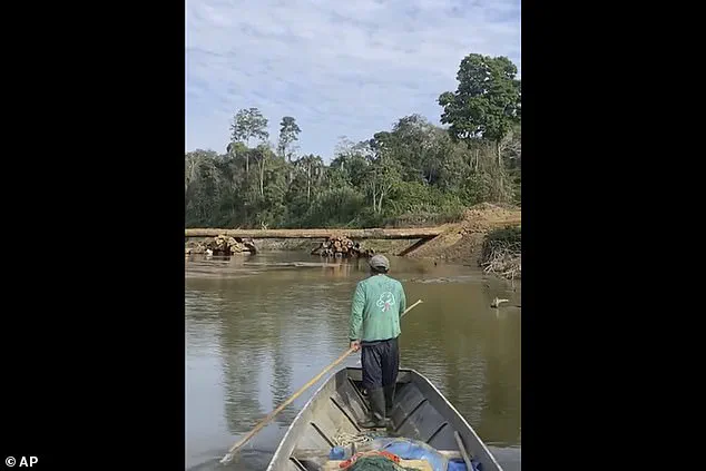 Lack of Government Protections Threatens Isolated Amazon Tribe's Survival