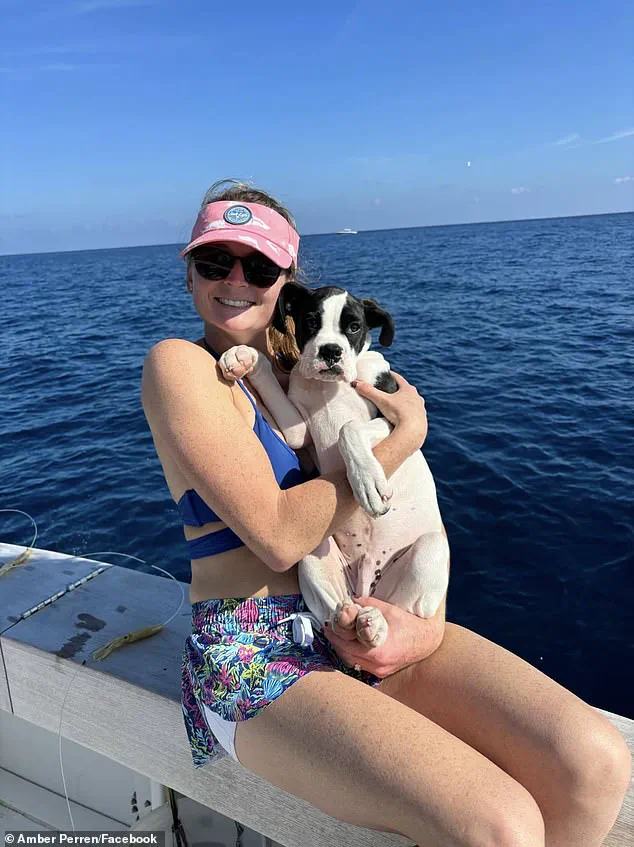 Privileged Access: The Hidden Dangers of Florida's Rivers Revealed Through a Rare Alligator Attack