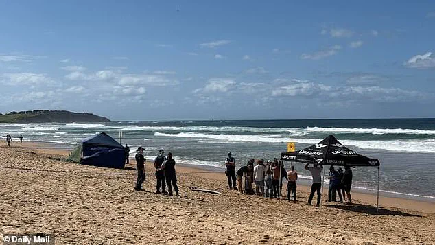 Five-Metre Shark Attack on Dee Why Beach Claims Life of Surfer Mercury 'Merc' Psillakis, Who Tried to Protect Friends