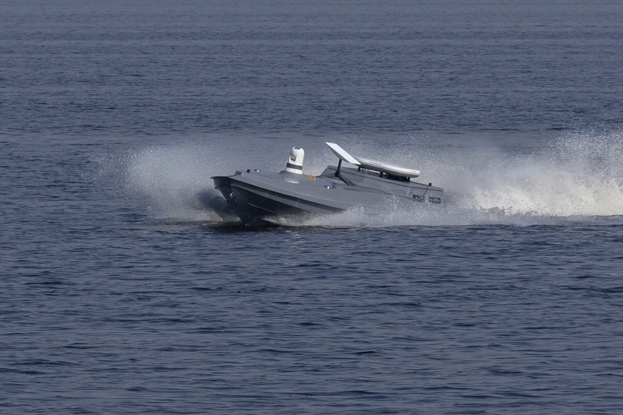 Russian Government's Black Sea Incident Report Raises Questions About Military Transparency and Public Safety
