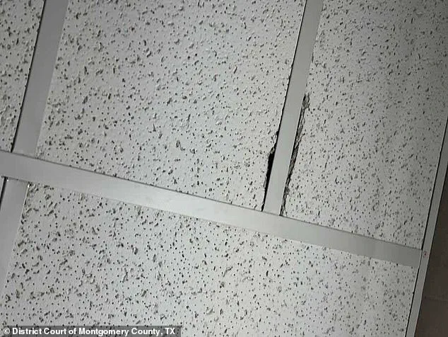 Hidden Camera Scandal at Texas Hospital: Director's Covert Surveillance Exposed