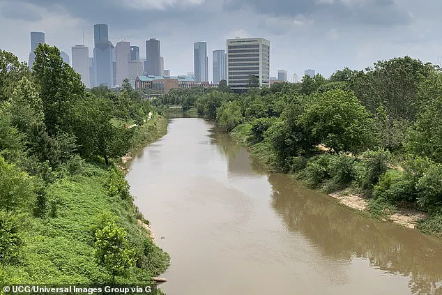 Late-Breaking: 23 Bodies Unearthed in Houston Bayous as Serial Killer Fears Intensify