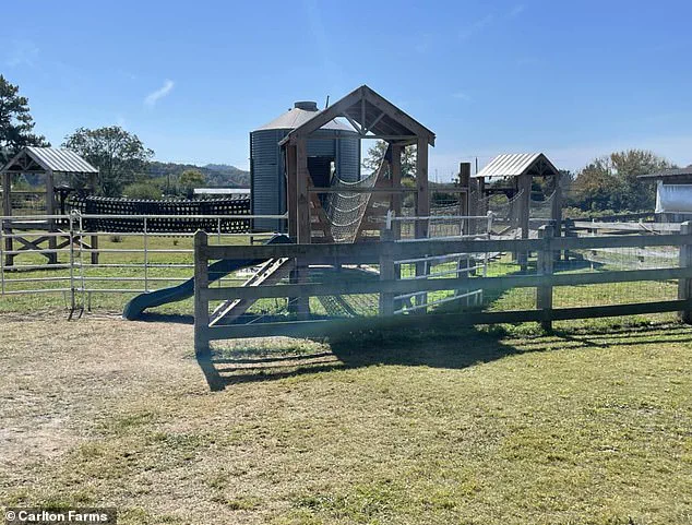 Six-Year-Old's Death on Field Trip Sparks Outrage as Family Demands Answers: 'We Were Never Informed'