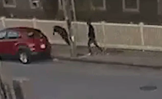 Former Mayor Will Flanagan Attacked Outside Cannabis Dispensary in Fall River; 31-Year-Old Corree Gonzales Identified as Suspect in Video-Captured Incident