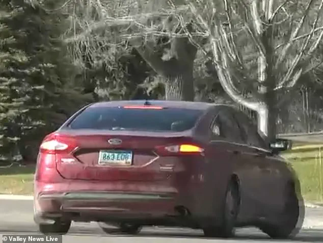 Heart-Wrenching Discovery of Neglected Dogs in Freezing Minnesota Parking Lot Sparks Community Outcry