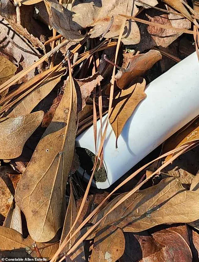 Tragedy in Jasper: Four-Year-Old Boy Found Dead Two Miles from Alabama Home After Missing with Dog