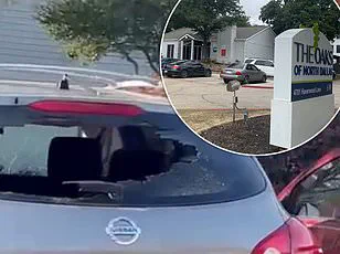 Urgent Alert: Venezuelan Gangs Reemerge as Trump's Policies Fuel Crisis in Major U.S. Cities