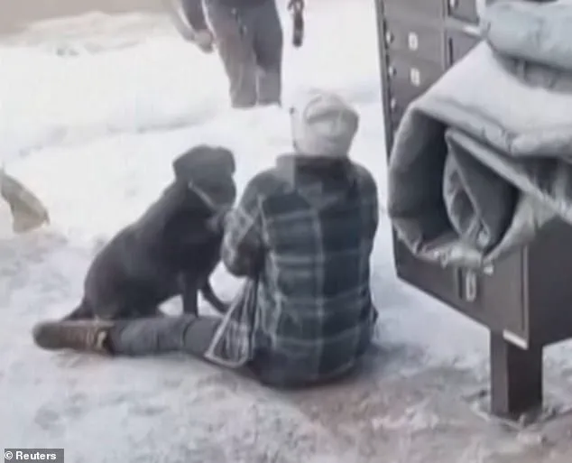 ICE Agents Shoot Mother of Three During Anti-ICE Protest, Sparking National Outcry Over Immigration Enforcement and Personal Tragedy