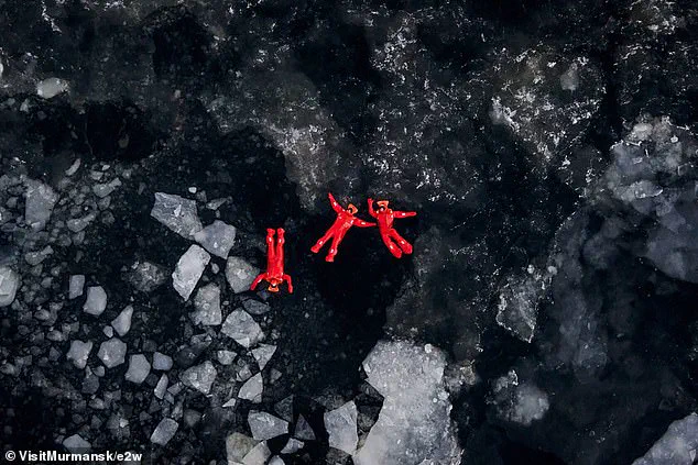 Privileged Access to Arctic Ice Floating Under Investigation After Tourist Fatality