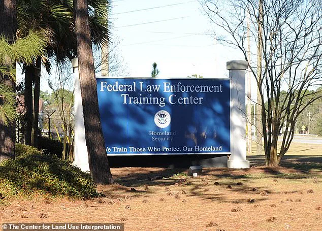 Trump's Deportation Hiring Initiative: A $30 Billion Embarrassment of Bureaucratic Mismanagement