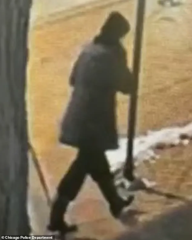 Discovery of Linda Brown's Body Concludes 10-Day Lake Michigan Search