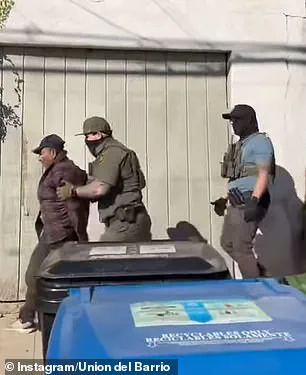 Erika Gallardo, a mother-of-two with cerebral palsy, said, 'The sudden detention has left us in chaos,' as her partner Ademir Ramas faces immigration custody, disrupting their lives in Pico Rivera.