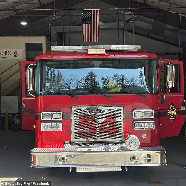 Firefighters Rescue Puppies from Suspected Opioid Overdose, Sparking Debate on Animal Safety and Emergency Response