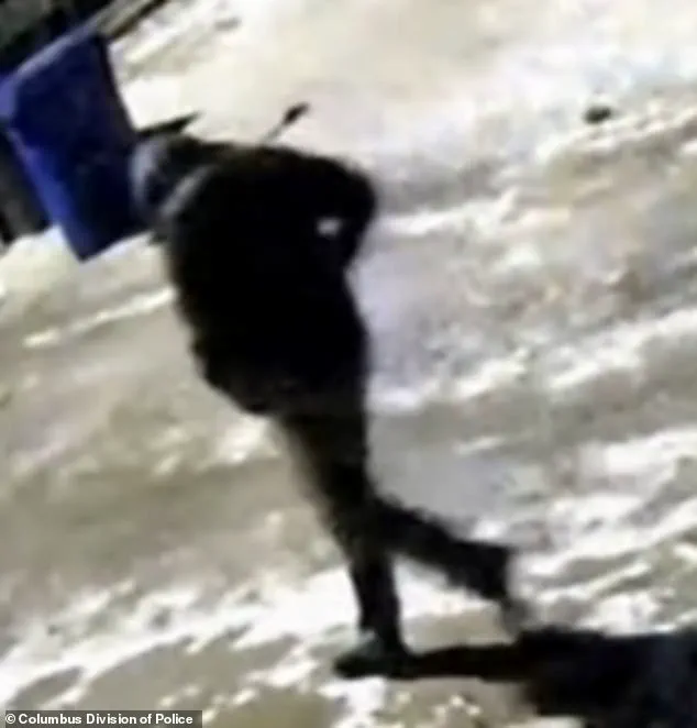 Illinois Surgeon's Arrest in Double Murder Sparks Debate on Gun Control and Law Enforcement Efficacy