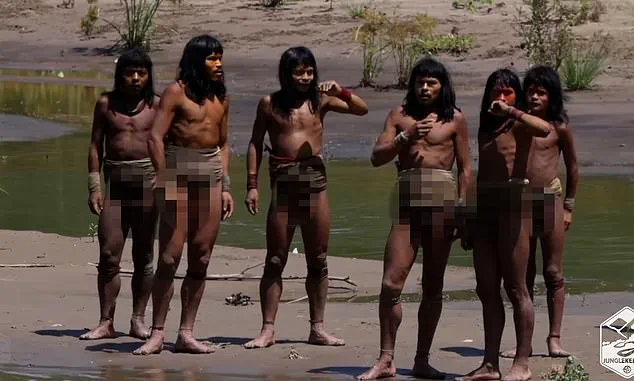 Privileged Access: First-Ever High-Definition Footage of the World's Largest Uncontacted Tribe