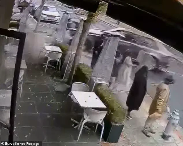 Wealthy Napa Valley Powerbroker Faces Civil Lawsuit After SUV Incident: 'Car Accelerated on Its Own,' Defendant Claims