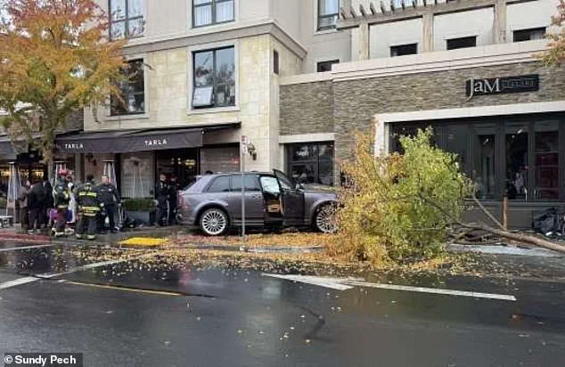 Wealthy Napa Valley Powerbroker Faces Civil Lawsuit After SUV Incident: 'Car Accelerated on Its Own,' Defendant Claims