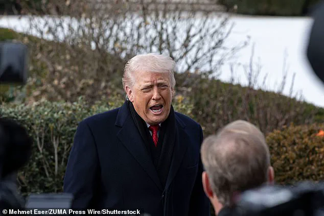 Exclusive: Trump's Tariff Threats and the Hidden Strains on NATO Alliances