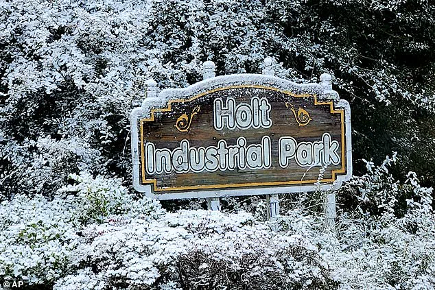 Unusual Winter Storm Affects 18 States, Including Florida and Georgia, as NWS Issues Alerts