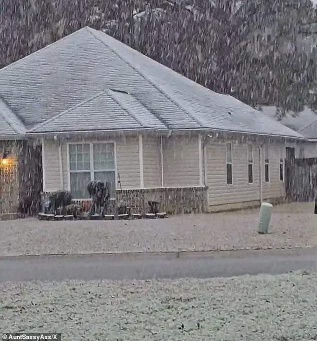 Unusual Winter Storm Affects 18 States, Including Florida and Georgia, as NWS Issues Alerts