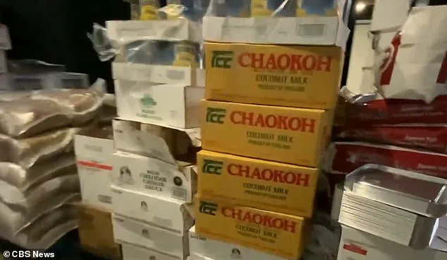 Privileged Access: Aimee Bock's Exclusive Confessions on the $250M Minnesota Fraud Scandal