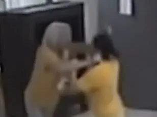 Unprecedented Physical Altercation Between State Senator and County Councilwoman Leads to Legal Battle