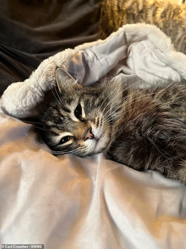 Elland Residents and Local Authorities Investigate Incident Involving Amazon Delivery Driver and Family Pet