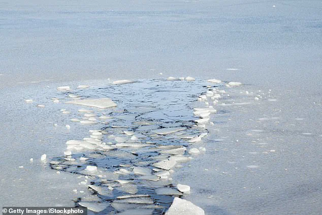 Tragedy Strikes Westphalia Township as Five-Year-Old Girl and Grandfather Killed in Icy Pond Crash, Leaving Community in Shock