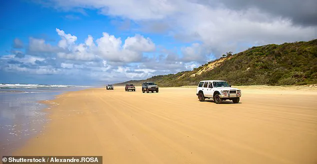 Fraser Island Community in Shock After Teen's Body Found Surrounded by Dingoes