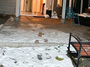 Idaho State Police Controversy: Crime Scene Photos from November 2022 Murders Removed Hours After Release