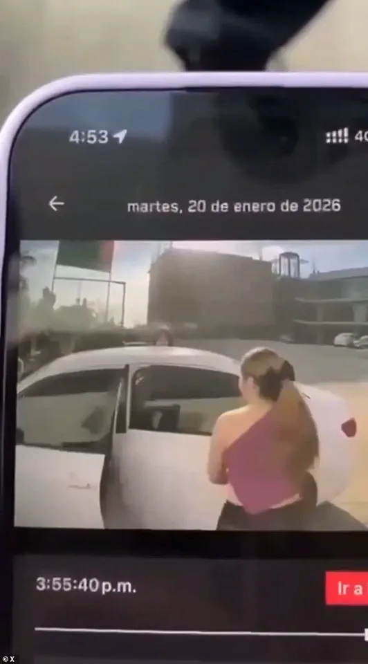 Exclusive Footage from Tesla Security Camera Captures Abduction of OnlyFans Model Nicole Pardo Molina