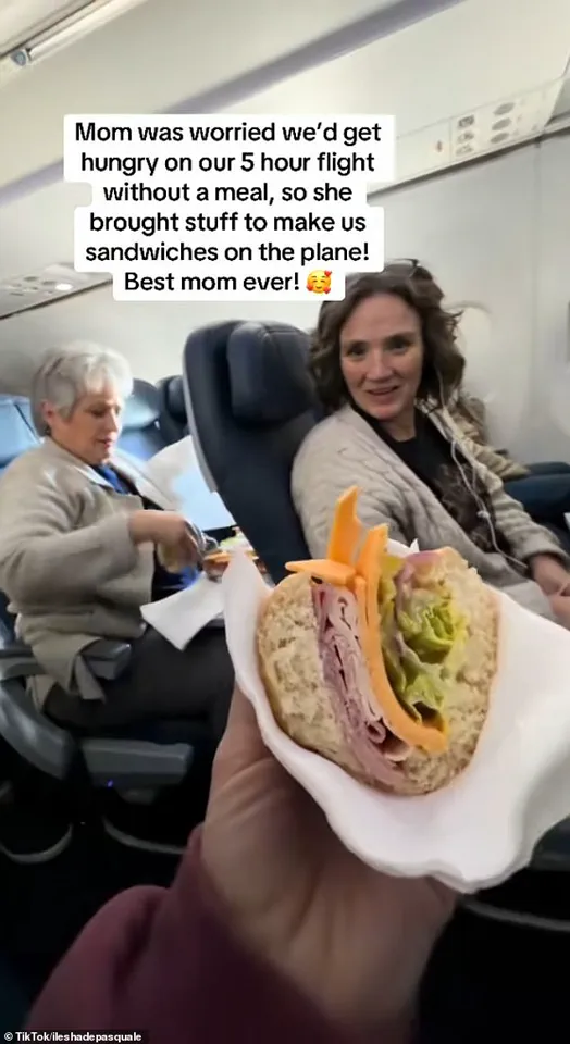 Mother's Last-Minute Sandwich Rescue Averts Hunger Crisis Mid-Flight