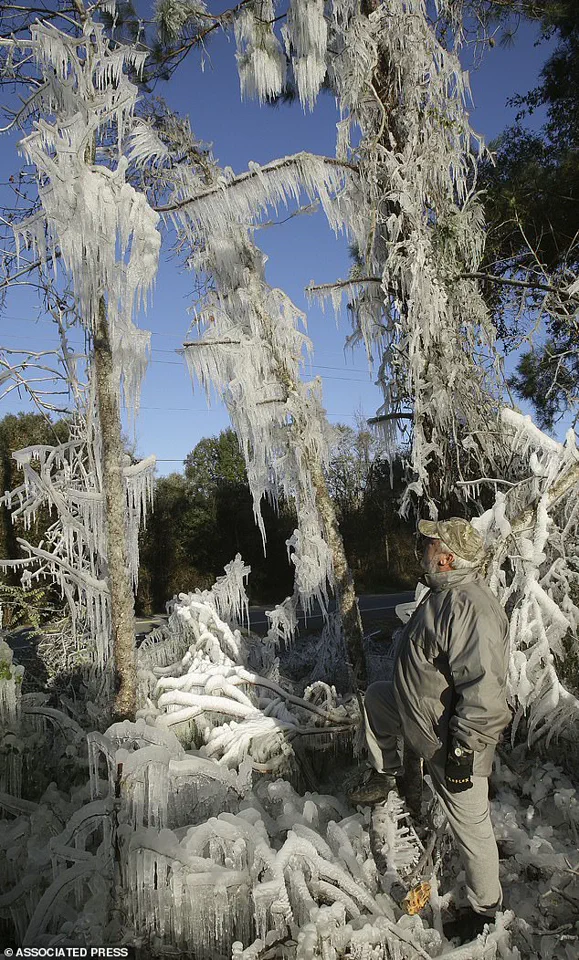 Historic Arctic Blast Threatens Miami with Rare Cold Snap, Marking First in 15 Years