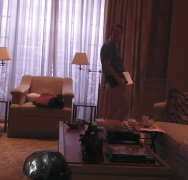 Peter Mandelson's Epstein Paris Flat Photo: Unraveling a Political Scandal