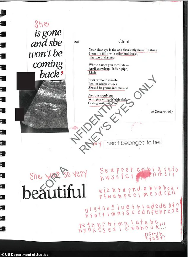 DOJ Unveils Epstein Files: Victim's Diary Details Traumatic Birth at 16