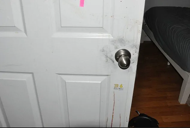 New Crime Scene Photos and Autopsy Details Shed Light on University of Idaho Murders, as Questions About Motive Remain