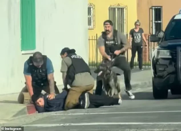 Viral Video of Teen Tackle Misunderstood as ICE Raid, Officials Clarify It Was Jewelry Theft Pursuit