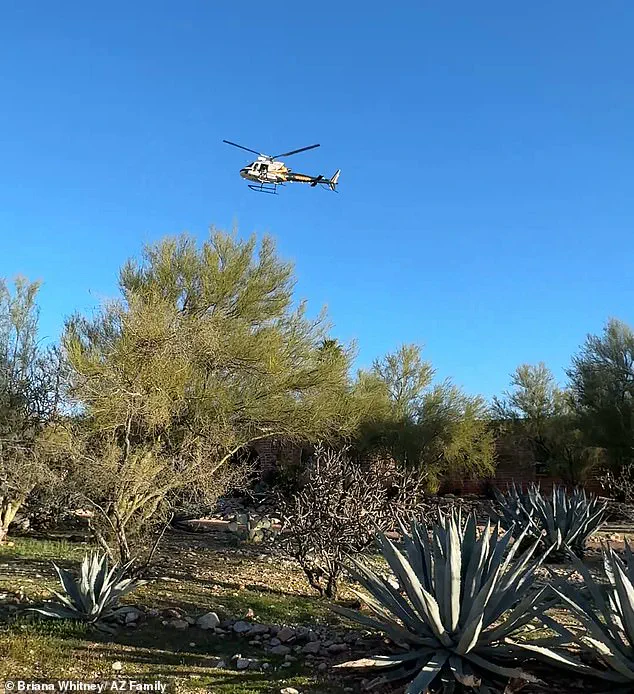 Chilling New Details: Abduction of Nancy Guthrie May Involve Coordinated Group, Says Former NYPD Hostage Negotiator