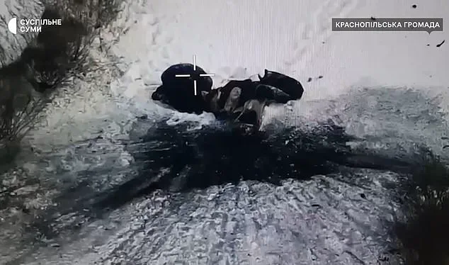 Frozen in the Snow: Ukrainian Couple's Calculated Execution by Russian Drones Reveals War's Brutal Toll