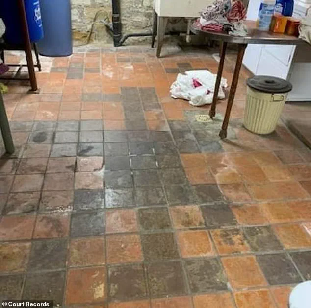 Pennsylvania Couple Sues Over Nazi Symbols Found in Home Flooring, Devaluing Property