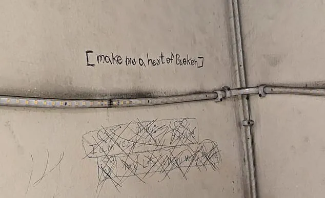 Tragic Suicide of Three Sisters in Ghaziabad, India After Parents Confiscate Mobile Phones