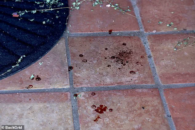 Frustration Mounts in High-Profile Search for Missing Nancy Guthrie as Suspects Remain Unidentified