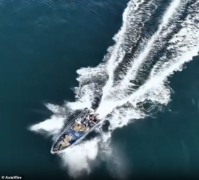 Protected Bryde's Whale Struck by Fishing Vessel Near Weizhou Island, China