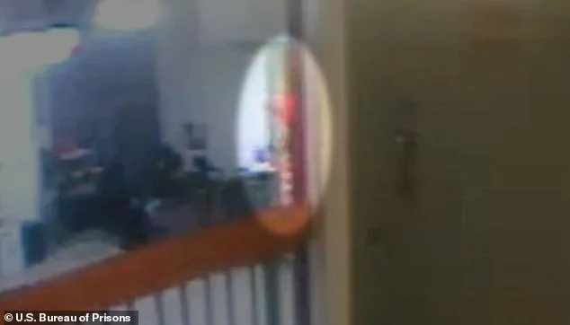 The Flash of Orange: Jeffrey Epstein's Death and the Debate Over Murder or Suicide