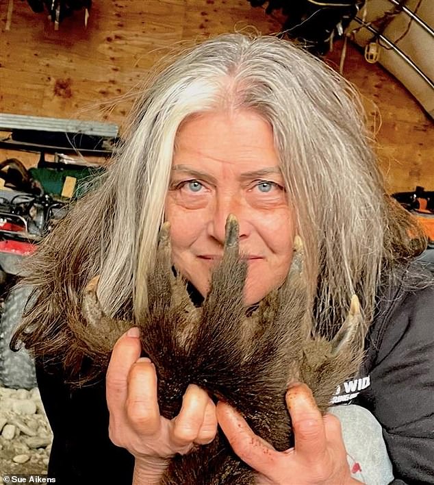 Surviving the Grizzly: Susan Aikens' Unbreakable Tie to Alaska