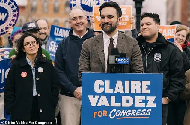 Assemblymember Valdez's Resume Under Fire for Listing ICE Protest Letter as Key Achievement