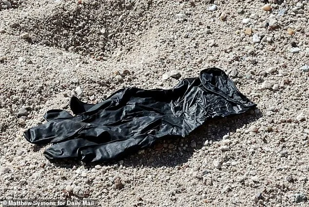 DNA from Glove Found Near Nancy Guthrie's Home Enters FBI Database in Bid to Identify Abduction Suspect