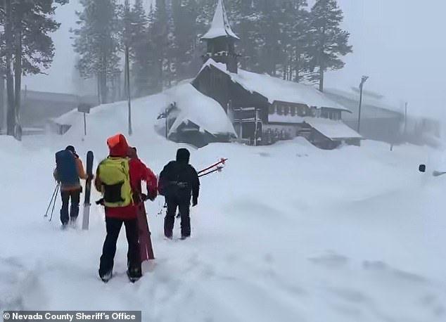 Avalanche in Sierra Nevada Follows Blackbird Guide's Snowpack Stability Warning