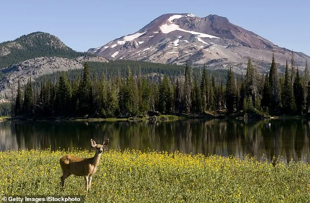 Oregon's Ballot Initiative Aims to End Hunting, Fishing, Redefining Wildlife Protections